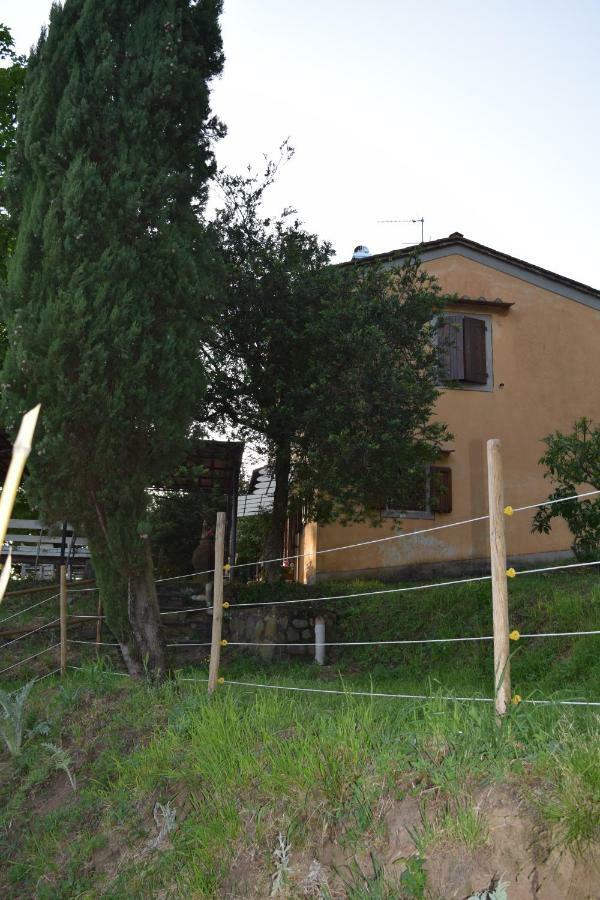 La Casa Sui Colli Βίλα Uzzano Εξωτερικό φωτογραφία