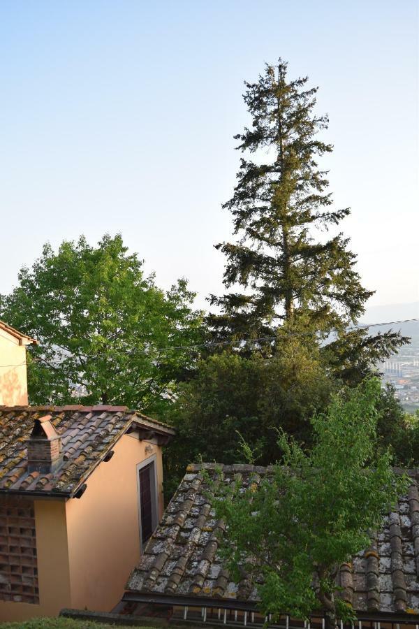 La Casa Sui Colli Βίλα Uzzano Εξωτερικό φωτογραφία